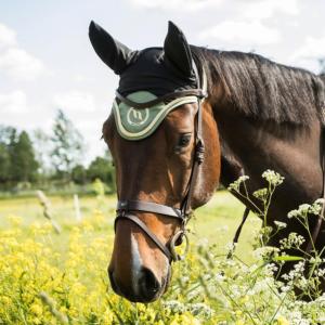 Bonnet thérapeutique Night Collection pour cheval de Back On Track