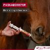 Paskabooster, la seringue de compétition 30ml