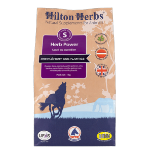 Herb Power pour un cheval en pleine forme (promo)