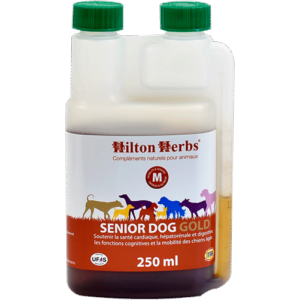 Senior Dog soutient l'organisme des vieux chiens (promo)