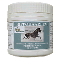 HippoHaarlem remède naturel contre la dermite du cheval