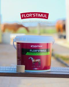 Flor Stimul ex Santos : pré et probiotiques pour chevaux
