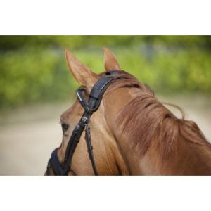 Protège nuque Velcro thérapeutique pour cheval de Back On Track