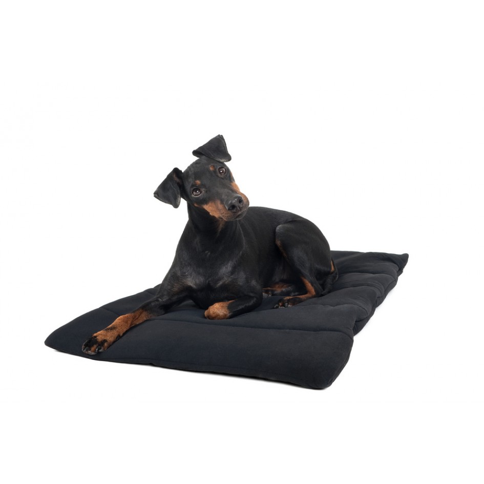 Mini plaid thérapeutique chien de Back On Track (50x68cm)